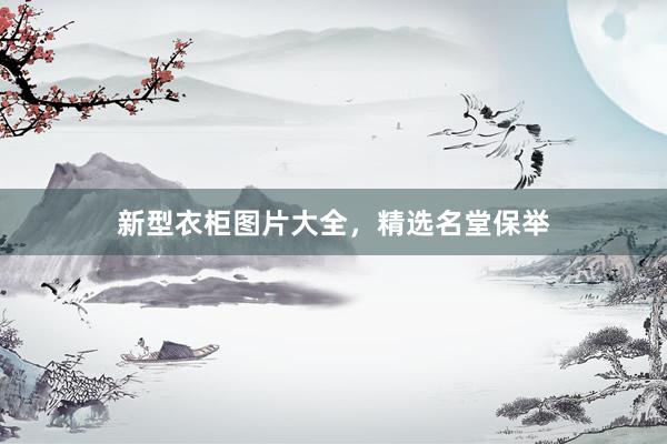 新型衣柜图片大全，精选名堂保举